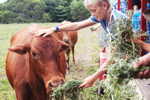 Horse And ATV Riding With A Visit To A Petting Zoo From Cairns - Darwin Holiday 5
