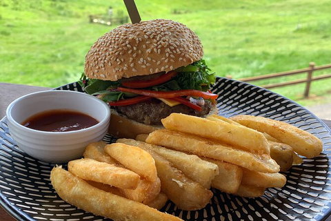Horse And ATV Riding With A Visit To A Petting Zoo From Cairns - Darwin Holiday 3
