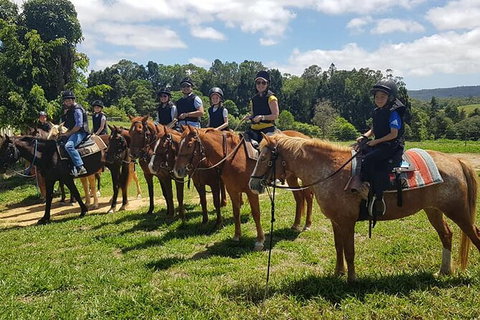 Horse And ATV Riding With A Visit To A Petting Zoo From Cairns - Darwin Holiday 1