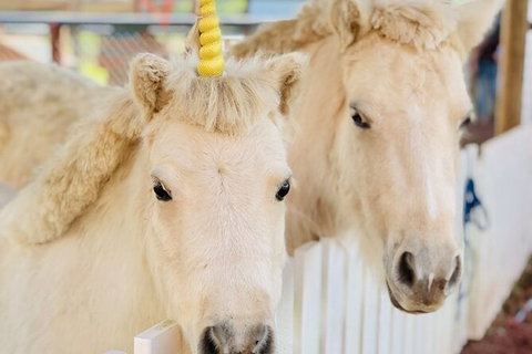 Horse And ATV Riding With A Visit To A Petting Zoo From Cairns - Darwin Holiday 4