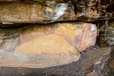 Half Day Aboriginal Rock Art Experience In Queensland - Darwin Holiday 3