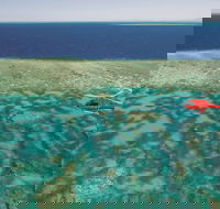 Day Tour to Kuranda Rainforest and Port Douglas with Flight - Darwin Holiday