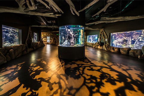 Cairns Aquarium By Twilight With 3 Course Dinner - Darwin Holiday 7