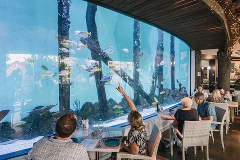 Cairns Aquarium By Twilight With 3 Course Dinner - Darwin Holiday 1