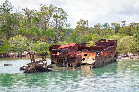 Sandy Straits Scenic & Wildlife Cruise - Darwin Holiday 9