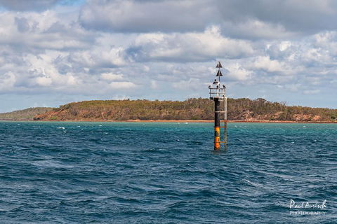 Sandy Straits Scenic & Wildlife Cruise - Darwin Holiday 6