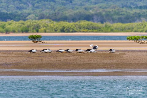Sandy Straits Scenic & Wildlife Cruise - Darwin Holiday 3