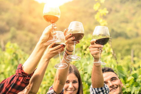 Barossa Valley Cellar Doors Luxury Wine Tour - Darwin Holiday 3