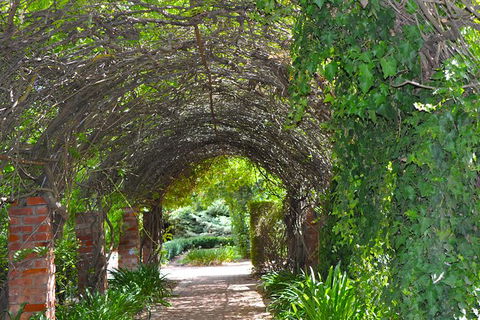 Barossa Valley Cellar Doors Luxury Wine Tour - Darwin Holiday 4