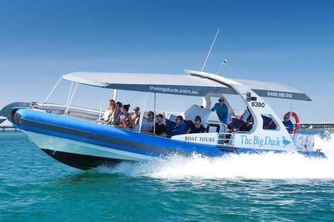 Seal Island Boat Tour From Victor Harbor - Darwin Holiday 0