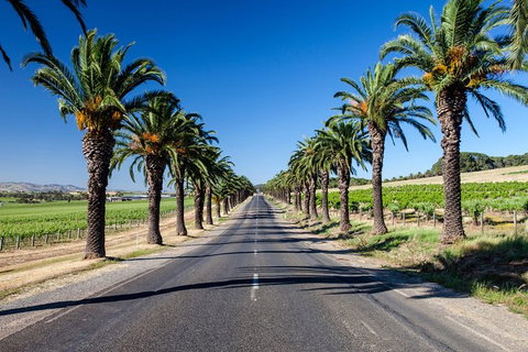 Discover Barossa Wine History& Heritage - Private Day Tour - Darwin Holiday 4