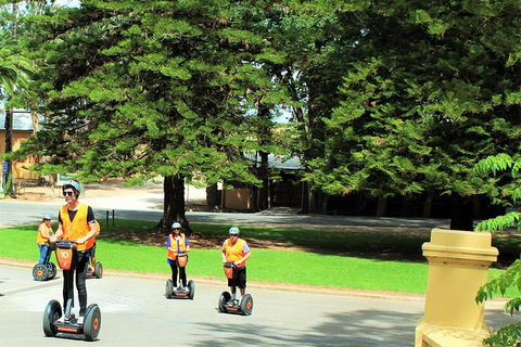 Segway Tour At Seppeltsfield Winery - Darwin Holiday 6