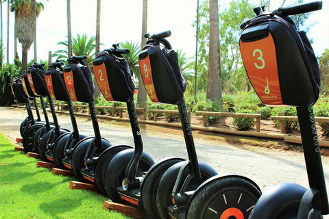 Segway Tour At Seppeltsfield Winery - Darwin Holiday 3