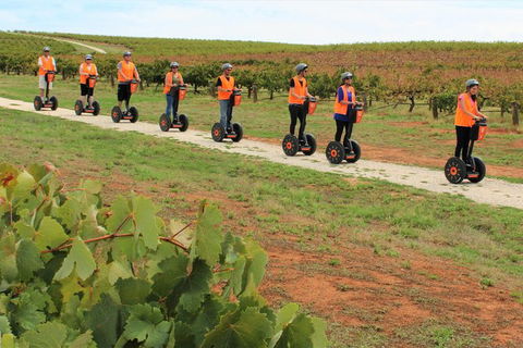 Segway Tour At Seppeltsfield Winery - Darwin Holiday 7