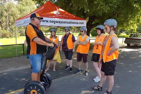 Segway Tour At Seppeltsfield Winery - Darwin Holiday 9