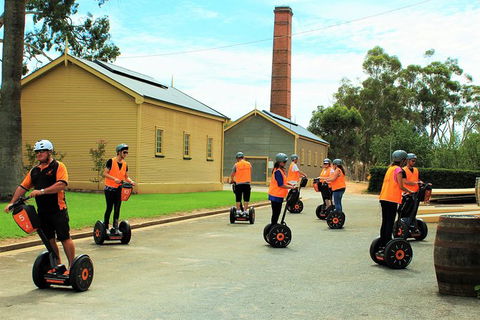 Segway Tour At Seppeltsfield Winery - Darwin Holiday 4