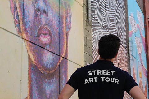 Adelaide Street Art Walking Tour - Darwin Holiday 0