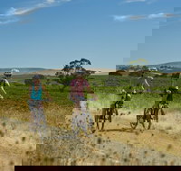 2-Night Self-Guided Clare Valley Vineyards Trail Bike Tour from Auburn - Darwin Holiday