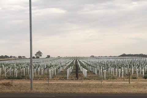 Intimate Wine Experience - Barossa Valley - Darwin Holiday 6