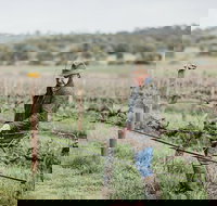 Armagh Vineyard Exclusive wine experience and lunch - Darwin Holiday