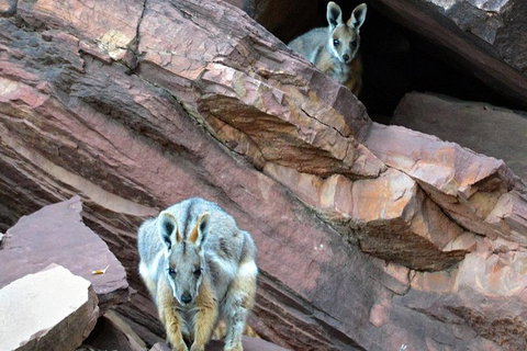 3 Day Flinders Ranges Outback Tour - Darwin Holiday 3