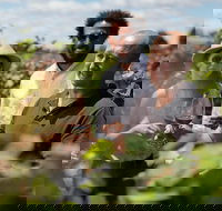 Elderton Elite Tasting Experience - Darwin Holiday