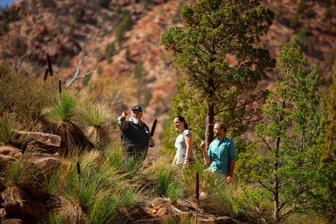 2-Night Wilpena Pound Escape Including Scenic Flight - Darwin Holiday 3