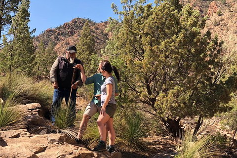 2-Night Wilpena Pound Escape Including Scenic Flight - Darwin Holiday 1