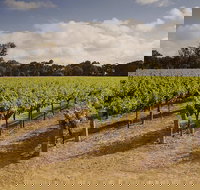 Private Langhorne Creek Wine Region Tour from Adelaide - Darwin Holiday
