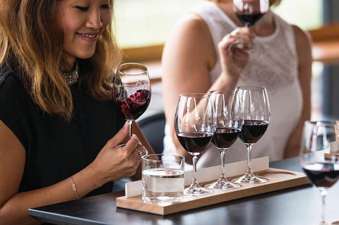 Adelaide Hills Regional / Hahndorf German Village Tour - Darwin Holiday 3