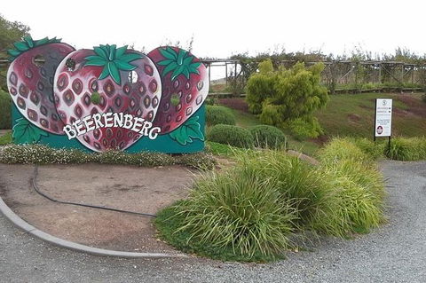 Adelaide Hills Regional / Hahndorf German Village Tour - Darwin Holiday 6