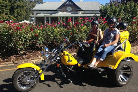 Unique Trike Barossa Valley Half Day Private Tour For 2 - Darwin Holiday 5