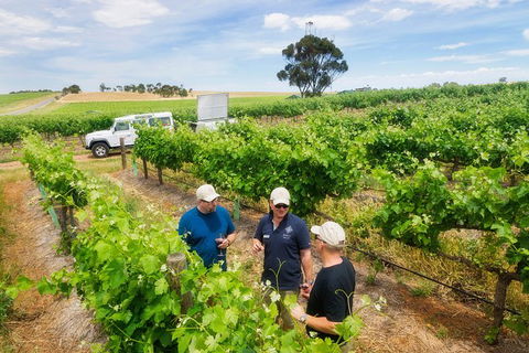 Two Hands Wines \'Single Vineyards Experience\' - Darwin Holiday 1