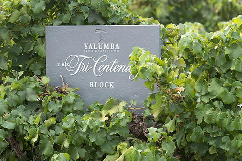Yalumba Nursery & Grenache Discovery Tour + Platter Lunch - Darwin Holiday 0