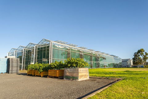 Yalumba Nursery & Grenache Discovery Tour + Platter Lunch - Darwin Holiday 5