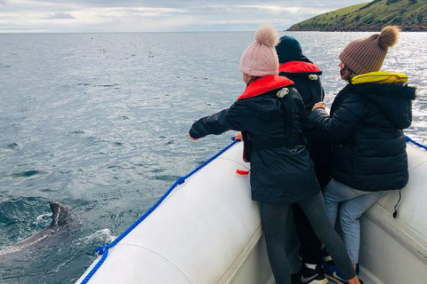 Kangaroo Island 75-Minute Ocean Safari - Darwin Holiday 2