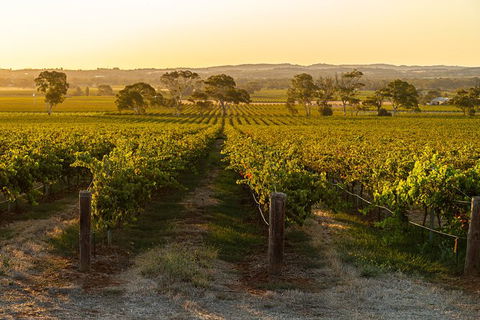Yalumba Signature Tour - Darwin Holiday 5