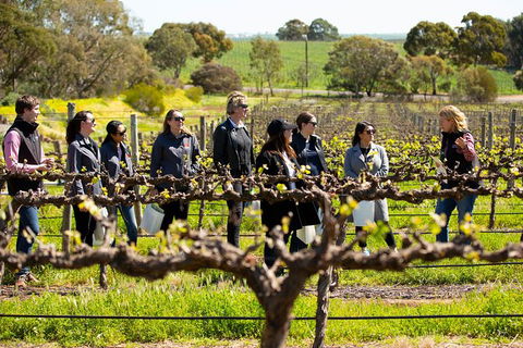 Walk, Taste, Graze - Experience At Pindarie - Darwin Holiday 2