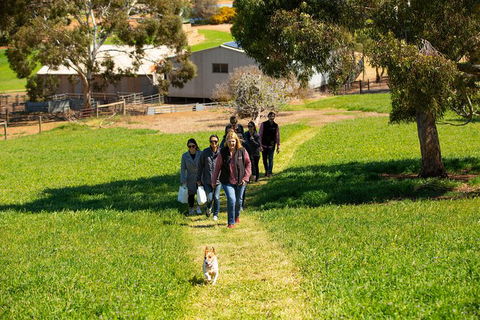 Walk, Taste, Graze - Experience At Pindarie - Darwin Holiday 7