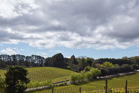 Adelaide Hills Full Day Winery Tour With Tastings - Darwin Holiday 4