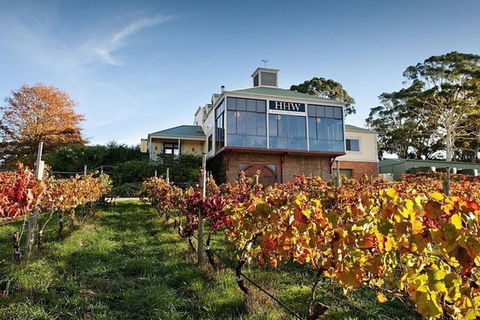Adelaide Hills Full Day Winery Tour With Tastings - Darwin Holiday 0