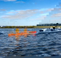 Dolphin Sanctuary Kayaking in Adelaide - Darwin Holiday