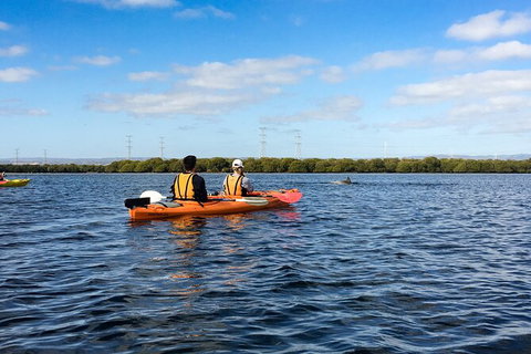 Dolphin Sanctuary Kayaking In Adelaide - Darwin Holiday 0