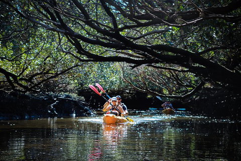 Dolphin Sanctuary Kayaking In Adelaide - Darwin Holiday 4