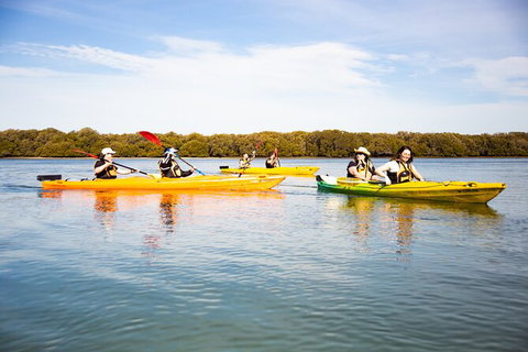 Dolphin Sanctuary Kayaking In Adelaide - Darwin Holiday 1