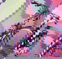 Clare Valley Bike Hire - Darwin Holiday