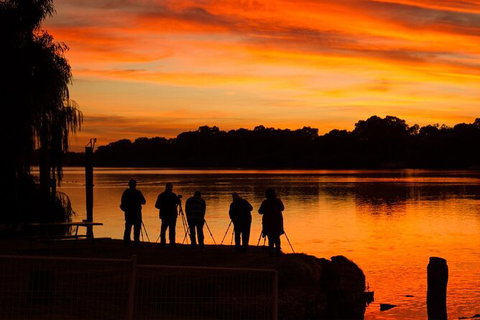 Small-Group River Murray Dark Sky And Sunset Tour With Dinner - Darwin Holiday 7