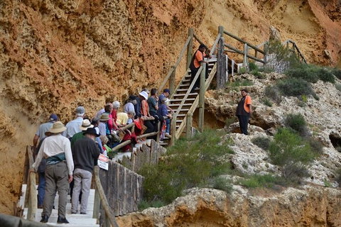 Small-Group River Murray Dark Sky And Sunset Tour With Dinner - Darwin Holiday 8