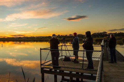 Small-Group River Murray Dark Sky And Sunset Tour With Dinner - Darwin Holiday 2
