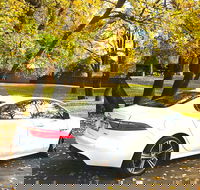 Luxury Jaguar Barossa Valley Half Day Private Tour For 2 - Darwin Holiday